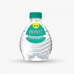 Bisleri Packaged Water 300 ml