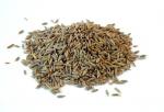 Daily Cumin Seeds/Jeera |50 gm pack